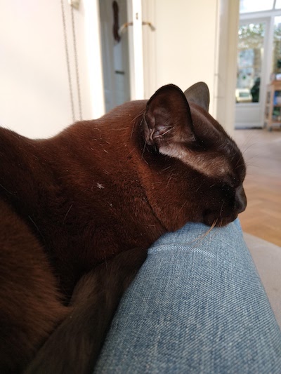 Charlie